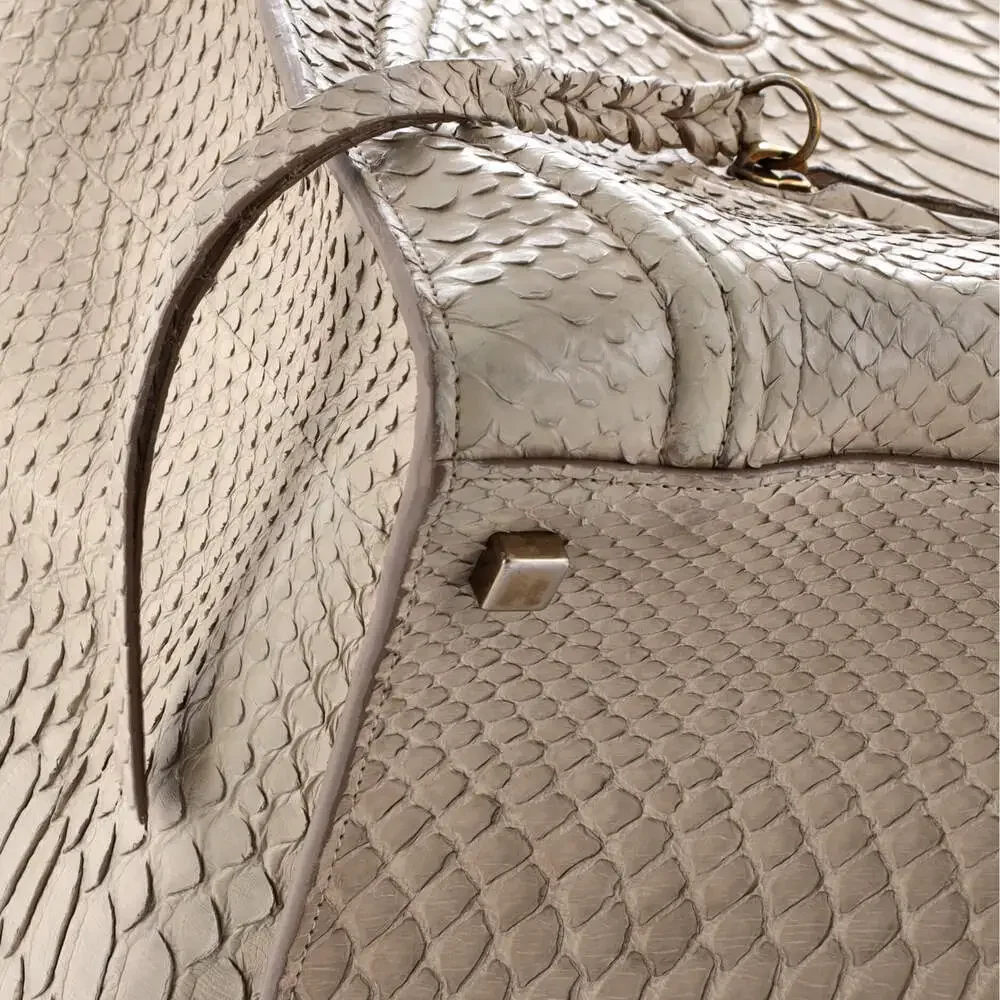 Celine Luggage Bag Python Mini #242235C12B - Picture 6 of 8